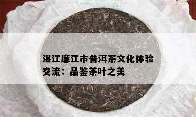 湛江廉江市普洱茶文化体验交流：品鉴茶叶之美