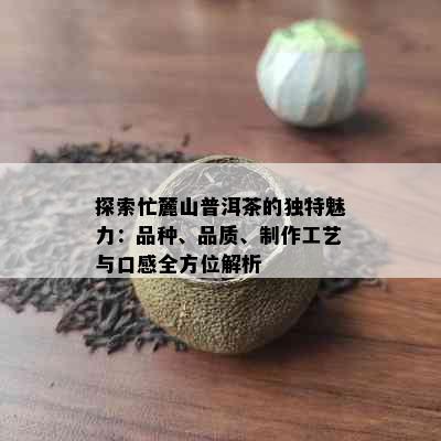 探索忙麓山普洱茶的独特魅力：品种、品质、制作工艺与口感全方位解析