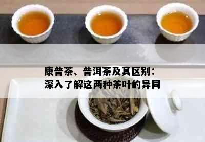 康普茶、普洱茶及其区别：深入了解这两种茶叶的异同