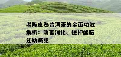 老陈皮熟普洱茶的全面功效解析：改善消化、提神醒脑还助减肥