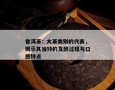 普洱茶：大茶类别的代表，揭示其独特的发酵过程与口感特点