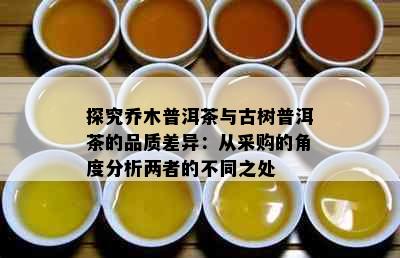 探究乔木普洱茶与古树普洱茶的品质差异：从采购的角度分析两者的不同之处