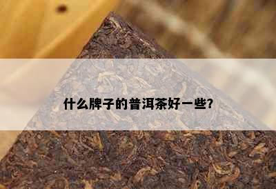 什么牌子的普洱茶好一些？