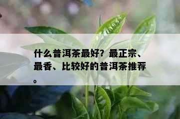 什么普洱茶更好？最正宗、最香、比较好的普洱茶推荐。