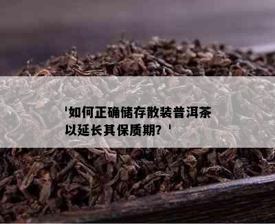 '如何正确储存散装普洱茶以延长其保质期？'