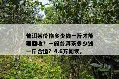 普洱茶价格多少钱一斤才能要回收？一般普洱茶多少钱一斤合适？4.6万阅读。