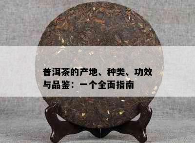 普洱茶的产地、种类、功效与品鉴：一个全面指南