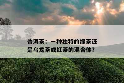 普洱茶：一种独特的绿茶还是乌龙茶或红茶的混合体？