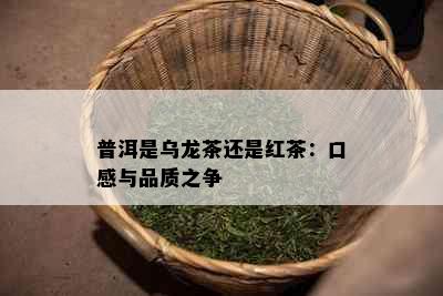 普洱是乌龙茶还是红茶：口感与品质之争