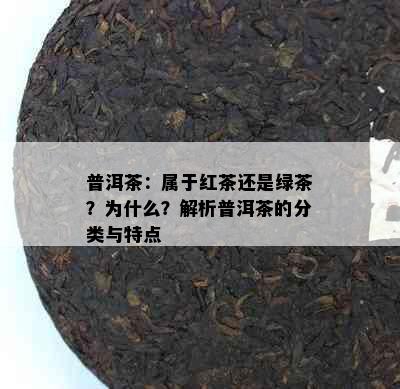 普洱茶：属于红茶还是绿茶？为什么？解析普洱茶的分类与特点