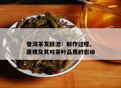 普洱茶发酵池：制作过程、原理及其对茶叶品质的影响