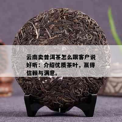 云南卖普洱茶怎么跟客户说好听：介绍优质茶叶，赢得信赖与满意。