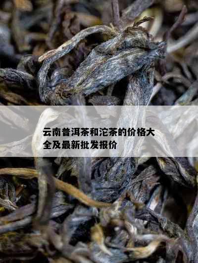 云南普洱茶和沱茶的价格大全及最新批发报价