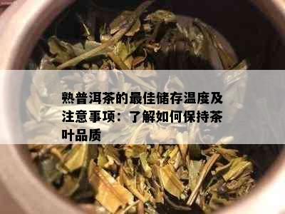 熟普洱茶的更佳储存温度及注意事项：了解如何保持茶叶品质