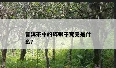 普洱茶中的碎银子究竟是什么？