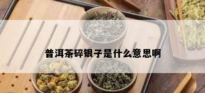 普洱茶碎银子是什么意思啊