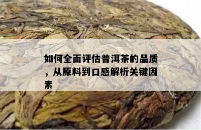 如何全面评估普洱茶的品质，从原料到口感解析关键因素