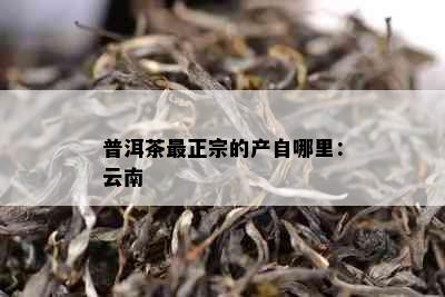 普洱茶最正宗的产自哪里：云南