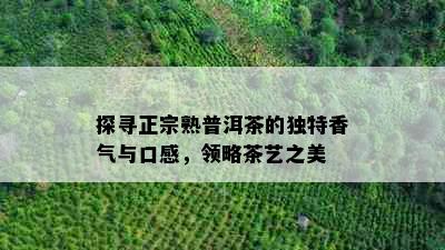 探寻正宗熟普洱茶的独特香气与口感，领略茶艺之美