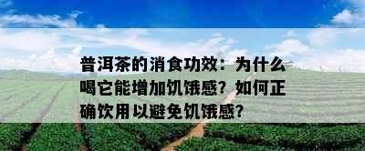 普洱茶的消食功效：为什么喝它能增加饥饿感？如何正确饮用以避免饥饿感？