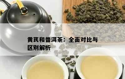 黄芪和普洱茶：全面对比与区别解析