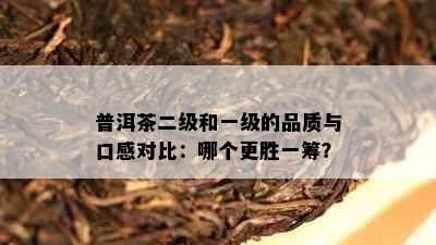 普洱茶二级和一级的品质与口感对比：哪个更胜一筹？