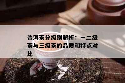 普洱茶分级别解析：一二级茶与三级茶的品质和特点对比