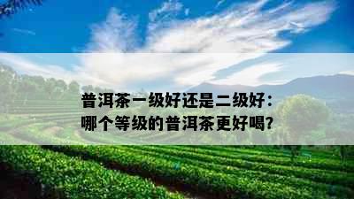 普洱茶一级好还是二级好：哪个等级的普洱茶更好喝？