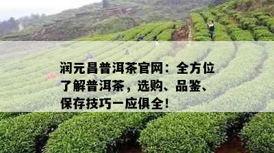 润元昌普洱茶官网：全方位了解普洱茶，选购、品鉴、保存技巧一应俱全！