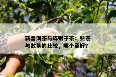 新普洱茶与碎银子茶：熟茶与散茶的比较，哪个更好？