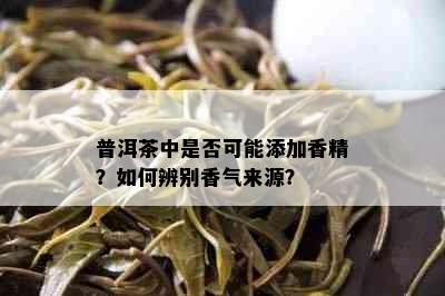 普洱茶中是否可能添加香精？如何辨别香气来源？