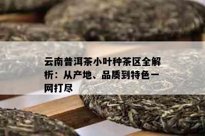 云南普洱茶小叶种茶区全解析：从产地、品质到特色一网打尽