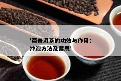 '菊普洱茶的功效与作用：冲泡方法及禁忌'