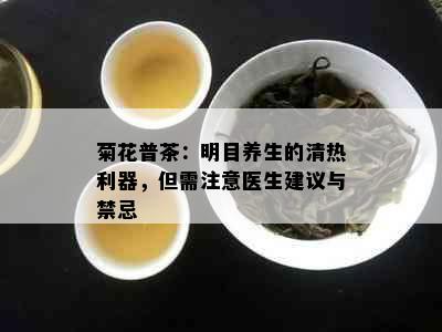 菊花普茶：明目养生的清热利器，但需注意医生建议与禁忌