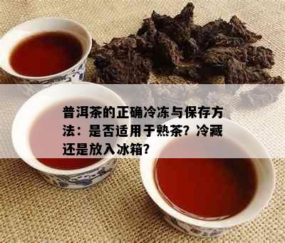 普洱茶的正确冷冻与保存方法：是否适用于熟茶？冷藏还是放入冰箱？