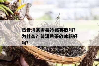 熟普洱茶需要冷藏存放吗？为什么？普洱熟茶放冰箱好吗？