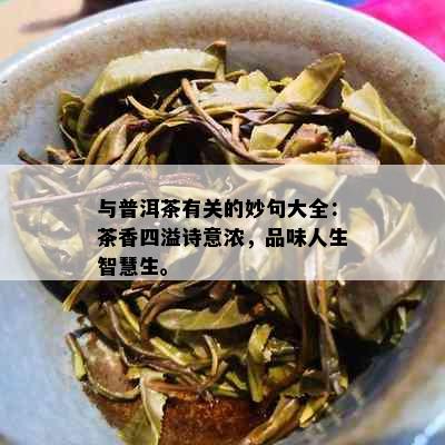 与普洱茶有关的妙句大全：茶香四溢诗意浓，品味人生智慧生。