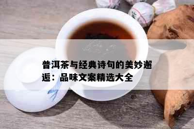 普洱茶与经典诗句的美妙邂逅：品味文案精选大全