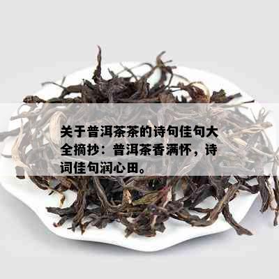 关于普洱茶茶的诗句佳句大全摘抄：普洱茶香满怀，诗词佳句润心田。