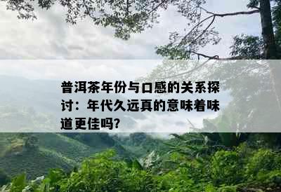 普洱茶年份与口感的关系探讨：年代久远真的意味着味道更佳吗？