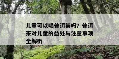 儿童可以喝普洱茶吗？普洱茶对儿童的益处与注意事项全解析