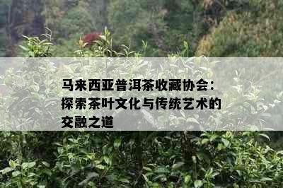 马来西亚普洱茶收藏协会：探索茶叶文化与传统艺术的交融之道