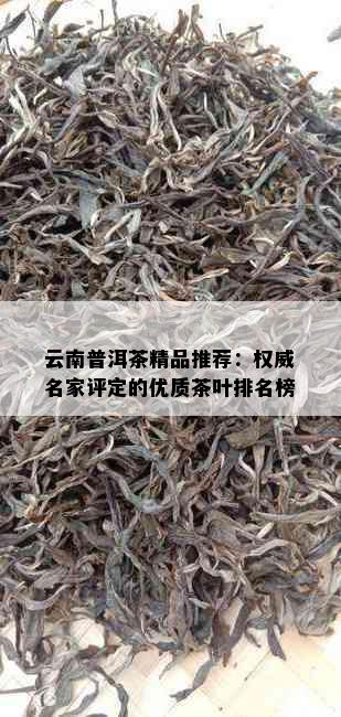 云南普洱茶精品推荐：权威名家评定的优质茶叶排名榜