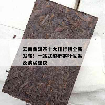 云南普洱茶十大排行榜全新发布！一站式解析茶叶优劣及购买建议