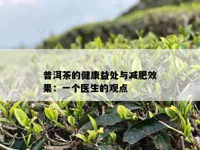 普洱茶的健康益处与减肥效果：一个医生的观点