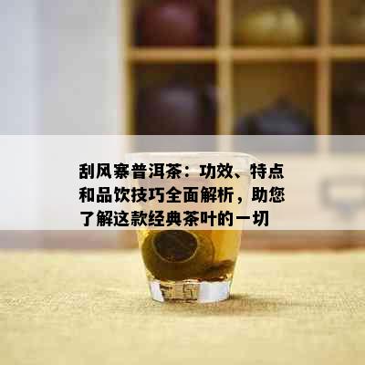 刮风寨普洱茶：功效、特点和品饮技巧全面解析，助您了解这款经典茶叶的一切