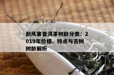 刮风寨普洱茶树龄分类：2019年价格、特点与古树树龄解析