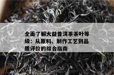 全面了解大益普洱茶茶叶等级：从原料、制作工艺到品质评价的综合指南