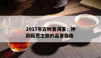 2017年古树普洱茶：神韵拓荒之旅的品鉴指南