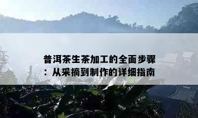 普洱茶生茶加工的全面步骤：从采摘到制作的详细指南